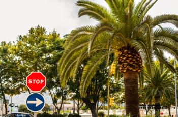 Mietwagen Mallorca Mietwagencheck