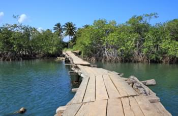 Parc national cuba roadtrip