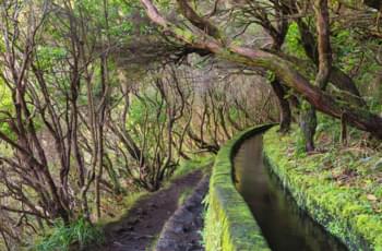 Wandern Madeira