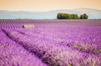 Provence