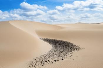 Desierto de Viana, Boa Vista
