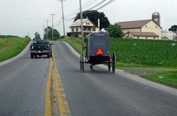 Pferdekutsche der Amish