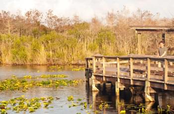 Everglades USA