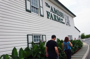Amish Farm