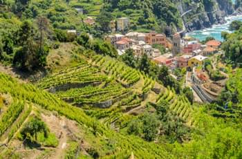 Blick über den Nationalpark bei Cinque Terre