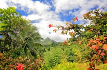 Découvrez la Martinique en voiture de location