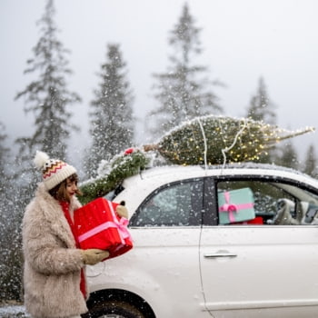 Weihnachtsbaum und Mietwagen: So transportierst Du Deinen Tannenbaum sicher