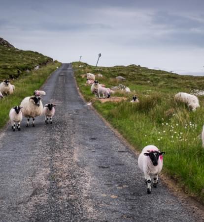Roadtrip Schottland: Eine Reise mit Hindernissen