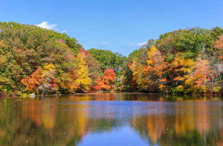 Herbstliche Landschaft in Massachusetts