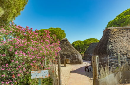Parque Nacional Doñana
