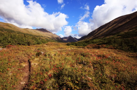 Chugach State Park in Anchorage, Alaska