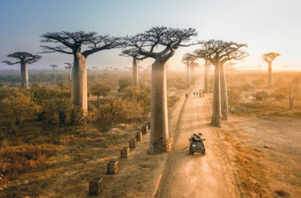 Mit dem Mietwagen durch Madagaskar