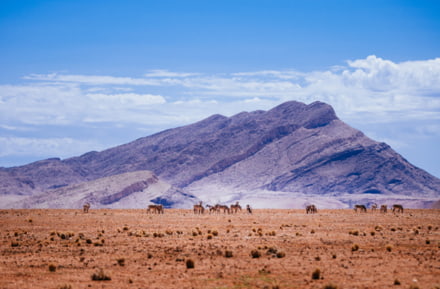 Desierto Namibia