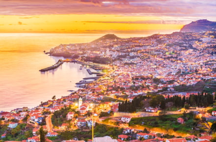 Blick auf Funchal, Madeira