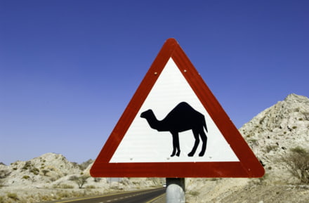 Coche de alquiler Ras al Khaimah