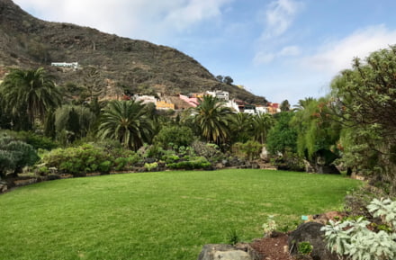 Parque de Cactualdea, Gran Canaria