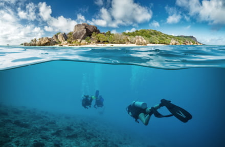 Duiker op de Seychellen