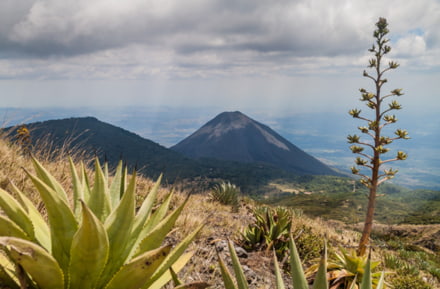 Parque Nacional Cerro Verde