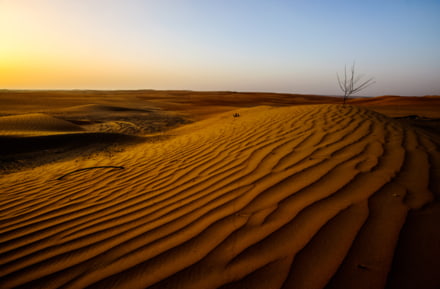 Desierto de Abu Dabi
