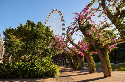 Brisbane Southbank
