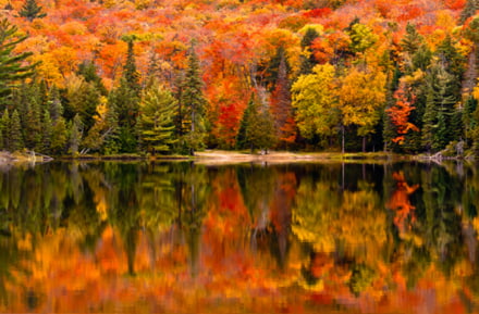 Paisaje de otoño en Ontario, Canadá