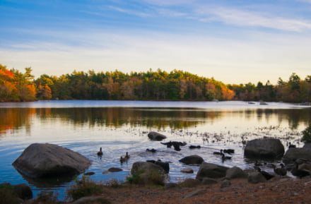 Small Lake in Halifax in Autumn
