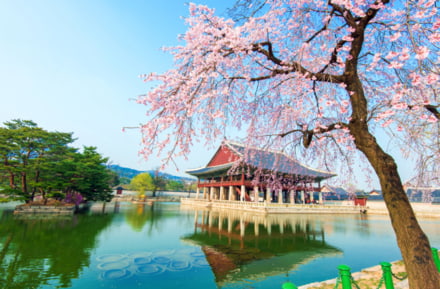 Palacio de Gyeongbokgung