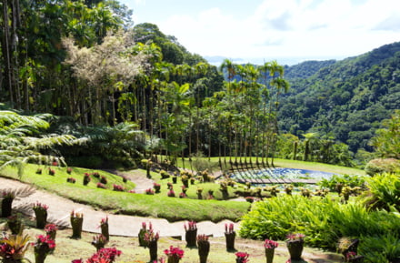 Jardin botanique Balata Martinique