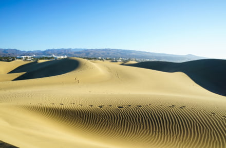 Dunas de arena de Maspalomas, Gran Canaria