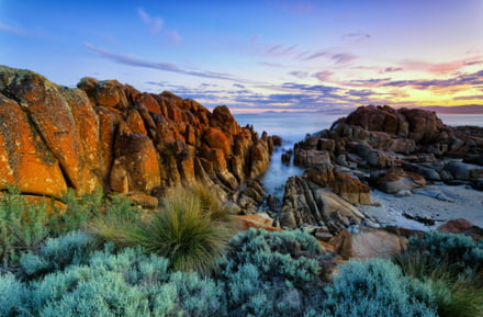 Beerbarrel Beach, Tasmanien