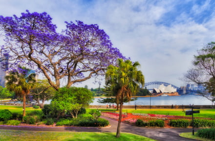 Koninklijke Botanische Tuinen Sydney