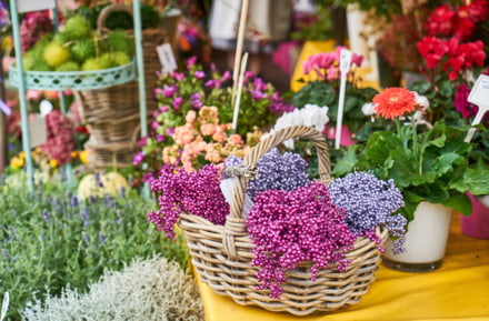 Visite du marché de victuailles à Munich