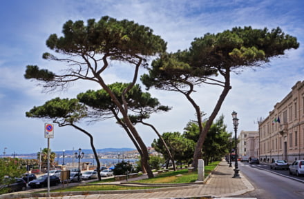 Alquiler de coches de ciudad Reggio di Calabria