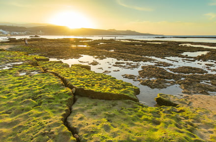 Louer une voiture et conduire à la plage de Las Palmas de Gran Canaria.