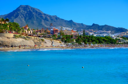 Playa del Duque