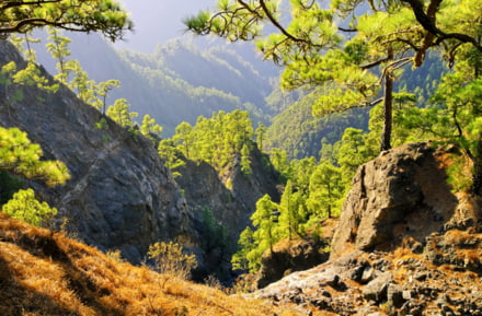 Parque Nacional de la Caldera de Taburiente en La Palma
