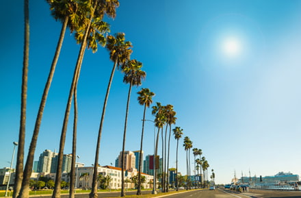 Sulla strada in California