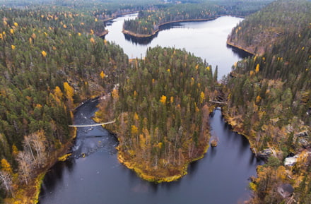 Autumn view of Oulanka National Park