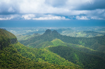 Met de huurauto naar Springbrook National Park in Queensland