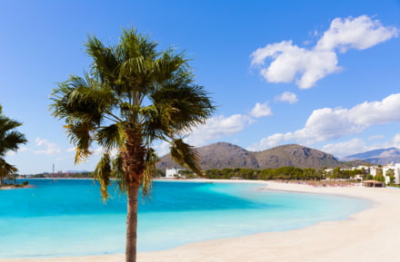 Strand von Alcudia