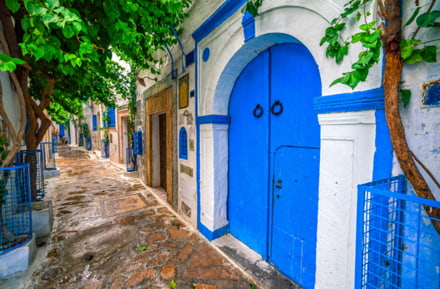 ruelle tunis maison bleue blanche 