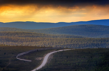 Fjell area Saariselkä