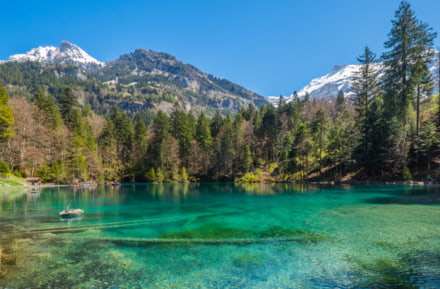 Blausee im Berner Oberland