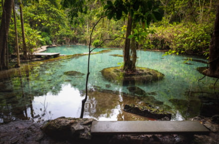 Natürlicher Wasserpool in Surat Thani