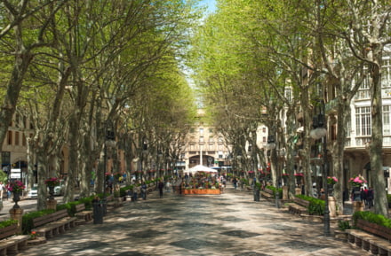 car hire palma de majora