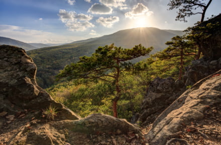 Natuur in de regio Krasnodar