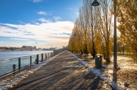 fleuve saint-laurent montréal