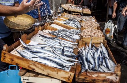 Fresh fish in Palermo