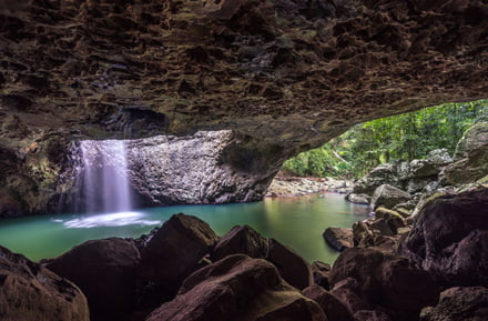 De lente in Springbrook Nationaal Park
