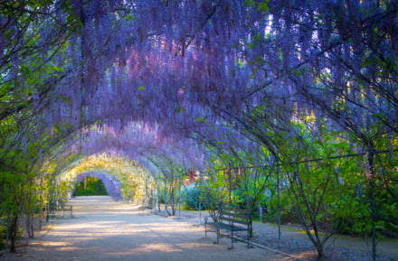 jardines botánicos